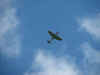IMG_0674Web.jpg (48864 bytes)