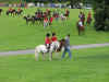 IMG_0819web.jpg (247858 bytes)
