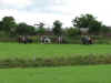 IMG_0863web.jpg (227544 bytes)